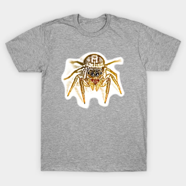 Unique and organic photo of a jumping spider looking right at you T-Shirt by AvonPerception